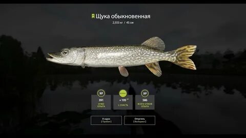Приманки на щуку рр4