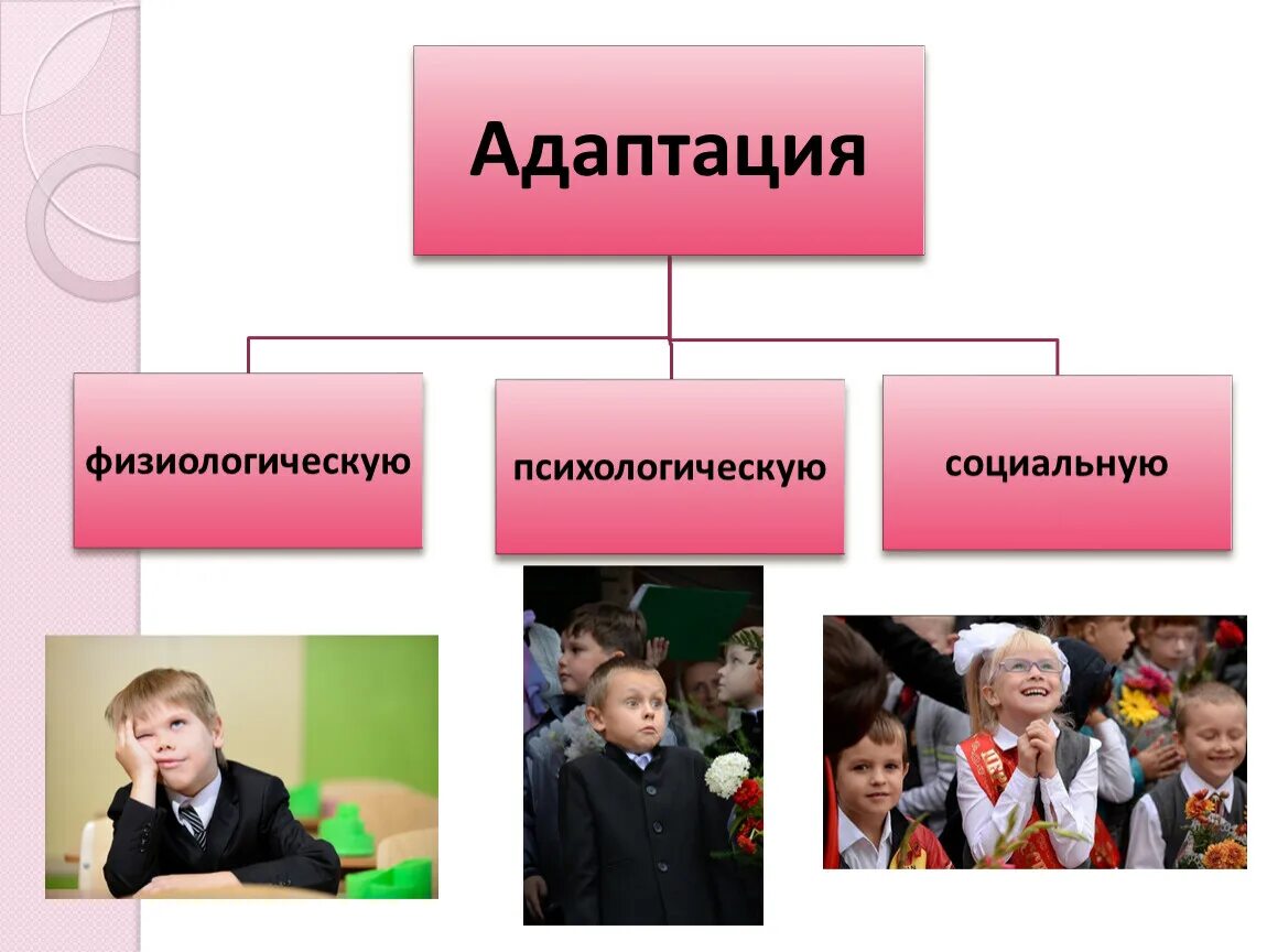 Уровни адаптации к школе. Адаптация первокласснико. Социальная адаптация в школе. Психологическая адаптация первоклассников. Признаки адаптации к школе.