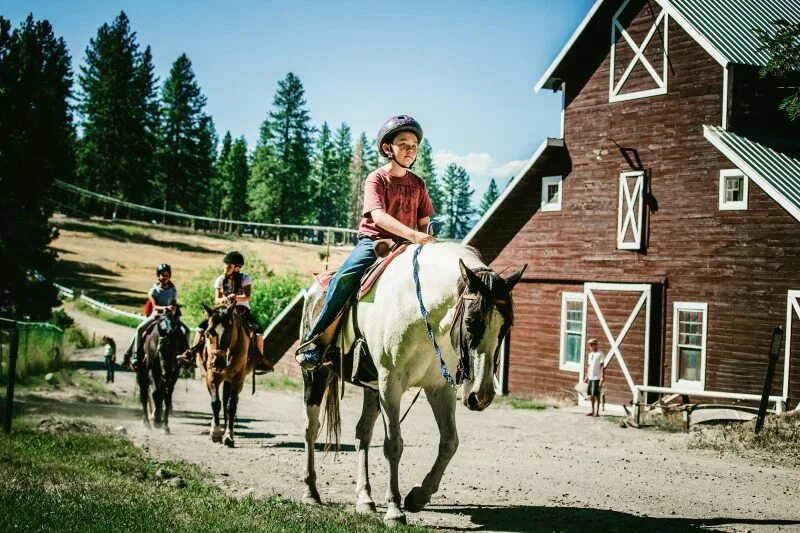 Riding camp. Камп лошадь. Лошадь в палатке. Horse Camping Тойбохой. Horseback riding.