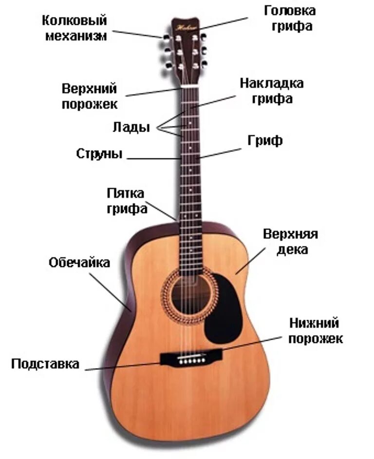 Учить гитару для начинающих
