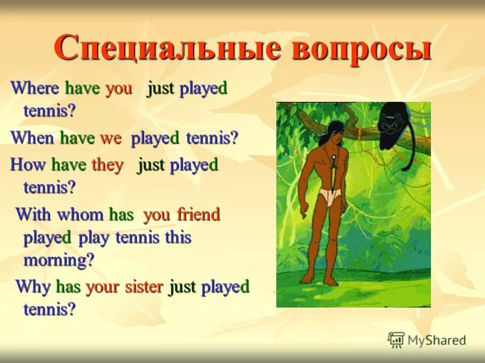 специальный вопрос where. схема специального вопроса в английском языке. специальные вопросы в английском примеры. специальный вопрос where. вопросы с must.