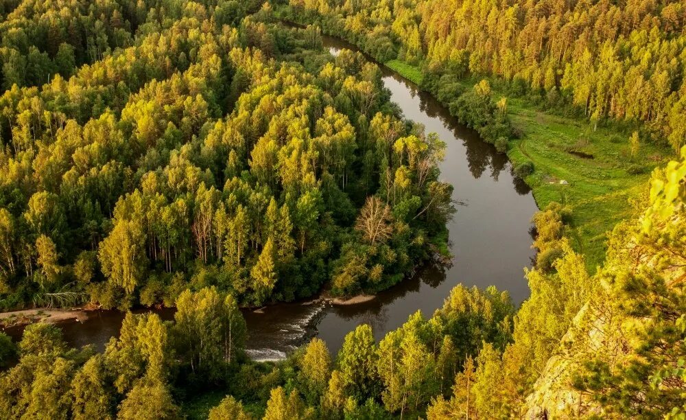 Реки свердловской области рыбалка. Река выя Нижний Тагил. Река тагилка в Нижнем Тагиле. Река медведь камень Урал. Природа река Тагил.