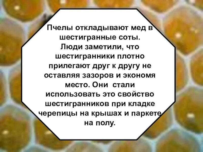 Несколько сот или сотен человек. Люди в сотах. почему у пчёл соты шестигранные.