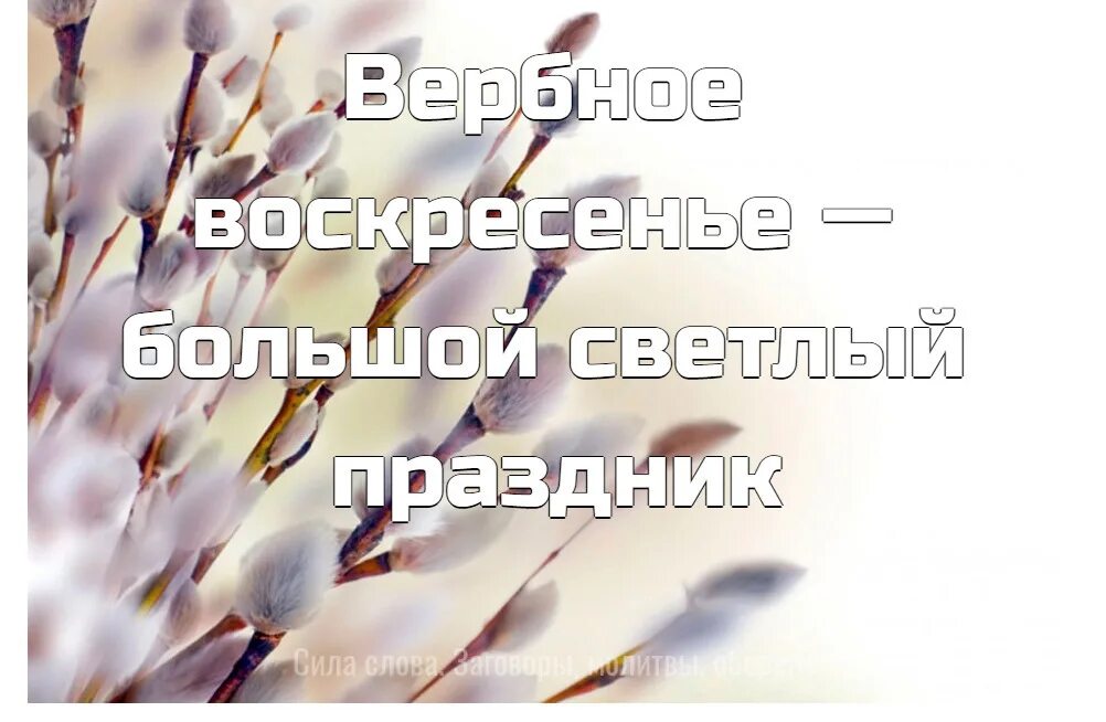 С Вербным воскресеньем. Апрель Вербное воскресенье. Неделя вербы. Вербное воскресенье приметы и традиции. Когда начинается вербная неделя