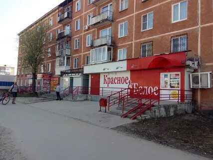 Бел березники