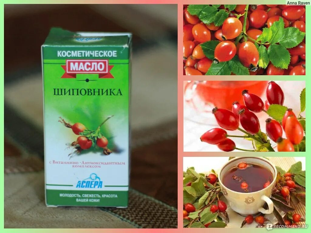 Масло шиповника внутрь для чего. Масло шиповника. масло шиповника косметическое. препараты из шиповника. шиповник из аптеки.