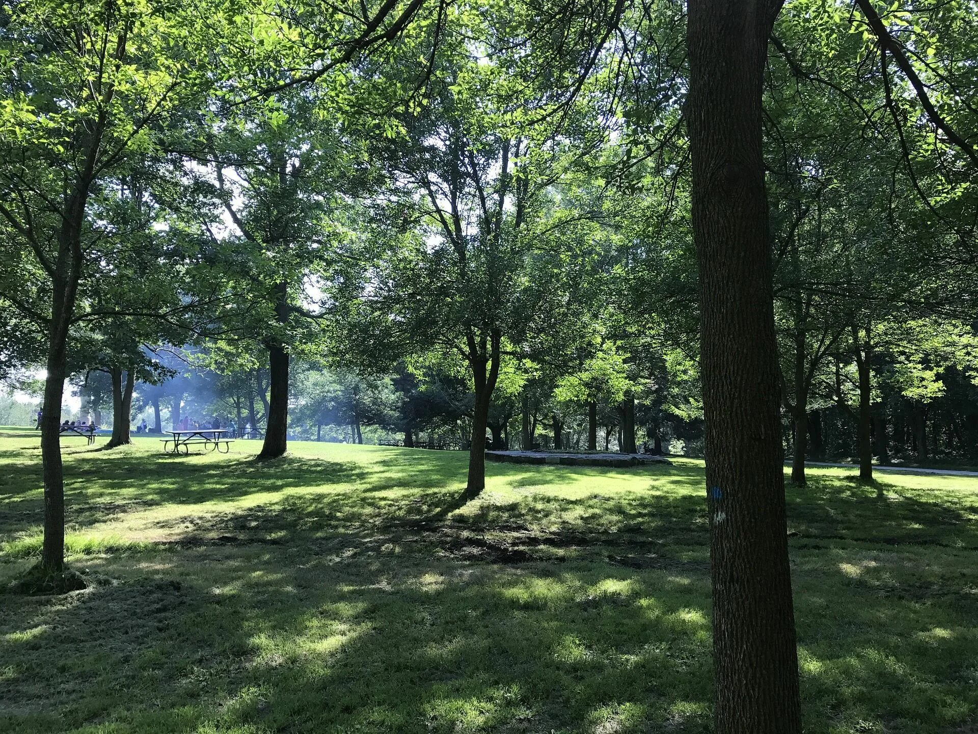 Find a park. Парки германии. Чистый парк. Монреаль лесопарки фото. Описание иллюстрации.