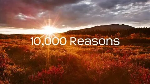 0 reason