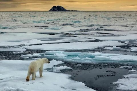 Climate c