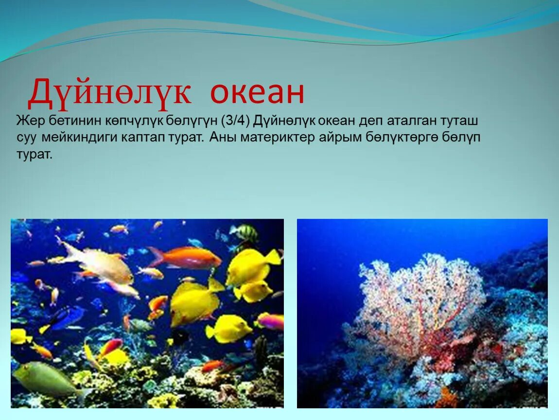 Люди в океане кратко. Мировой океан презентация. Мировой океан проект. Презентация мирового Оке. Презентация на тему мировой океан.