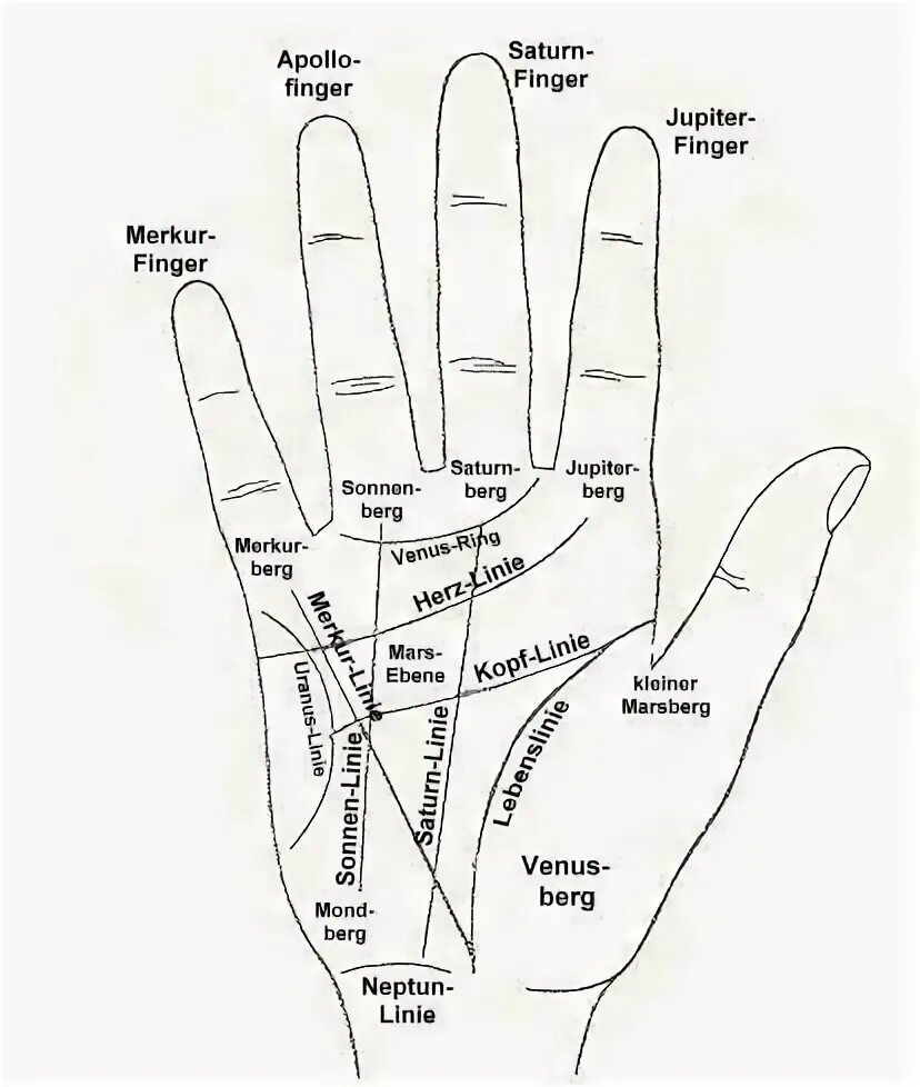 Точки богатства. Палец Юпитера на руке. Средний палец Сатурн. Треугольник на пальце Юпитера. Палец Сатурна на руке.