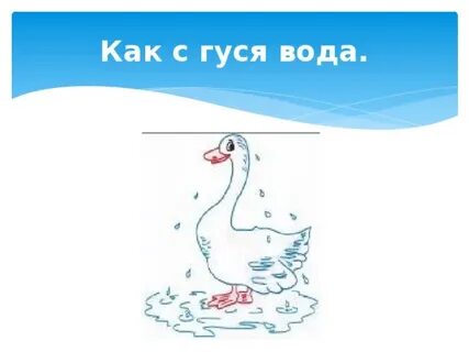 С нее как с гуся вода