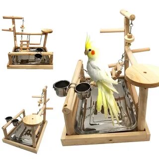 Игровые площадки для кореллы