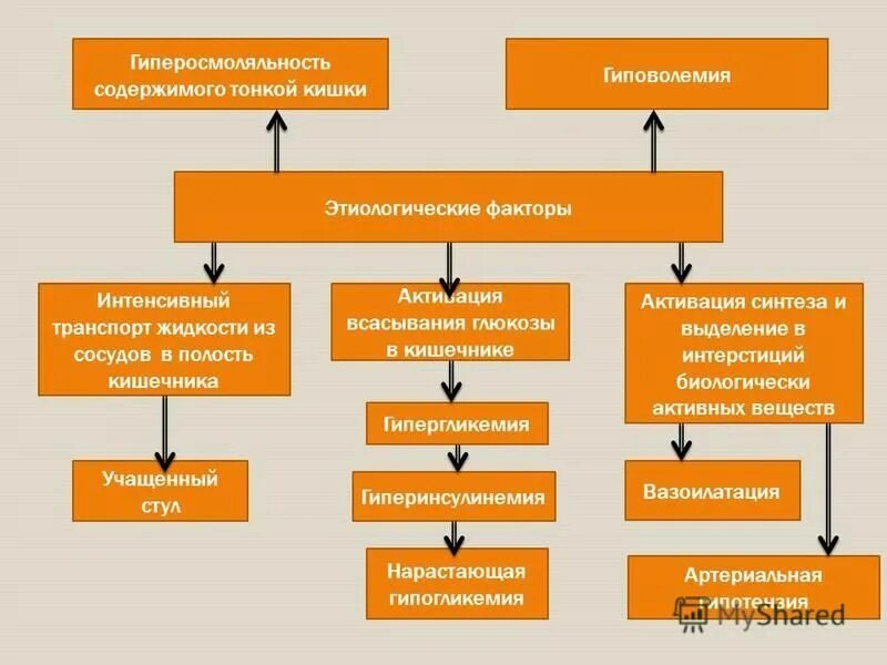 Функции микрофлоры тонкого кишечника. Дисбактериоз этиология. Микрофлора тонкого кишечника. Этиология кишечного дисбактериоза. Содержимое тонкой.