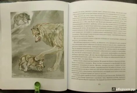 Джек лондон бурый волк тема