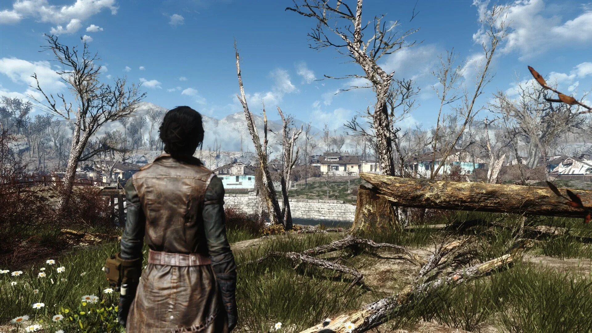 Fallout 4 enb. Fallout 4 enb