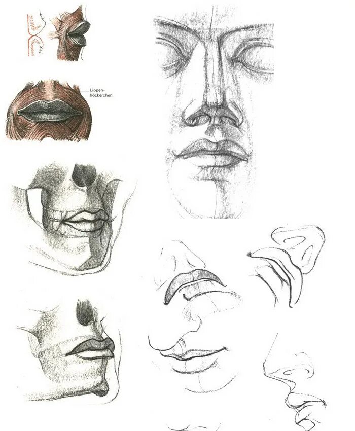 Нос и губы карандашом. Поэтапное рисование носа глаз. Губы для срисовки карандашом. Нос карандашом. Правильное построение глаза.