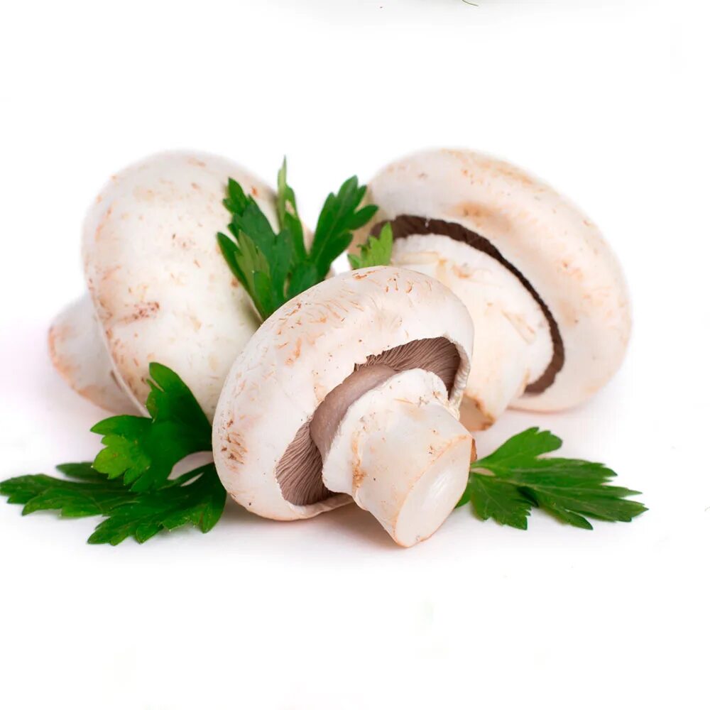 Шампиньоны 400 гр. Frozen mushrooms. Шампиньоны мини, 250г. Мини-дуэт шампиньоны 200 г. Стмина шампинена.