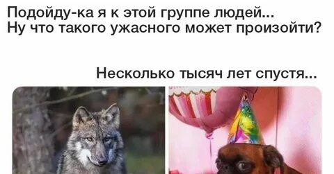 Представить что худшее произошло