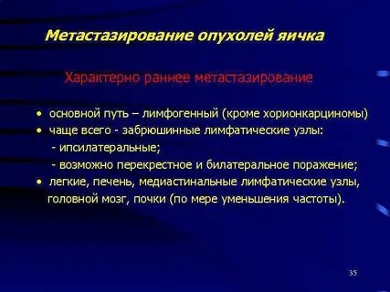 Рак яичка