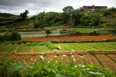 Farm land