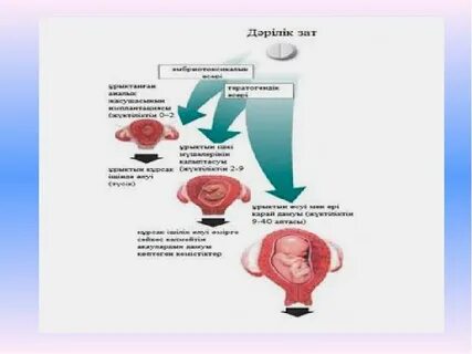 Сантехник үй иесін ұрып жіберген