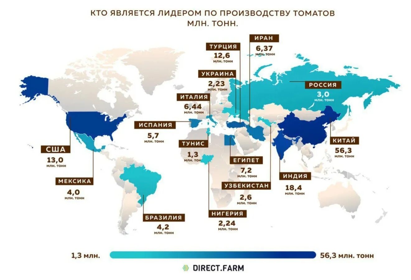 Сша лидер по производству. Страны Лидеры по выращиванию помидоров. Мировые производители томатов. Мировые Лидеры по производству. Мировое производство томатов.