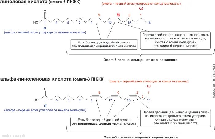 Источники омега 9 жирных кислот тест. Омега 6 жирные кислоты примеры. Химическая формула Омега 3 и 6. К Омега-3 полиненасыщенным жирным кислотам относится. Высшие жирные кислоты Омега.