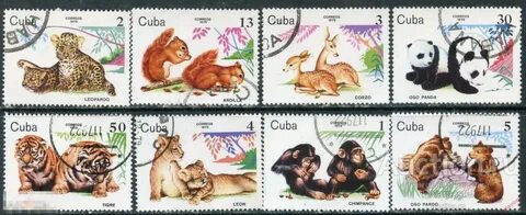 Животное 1979