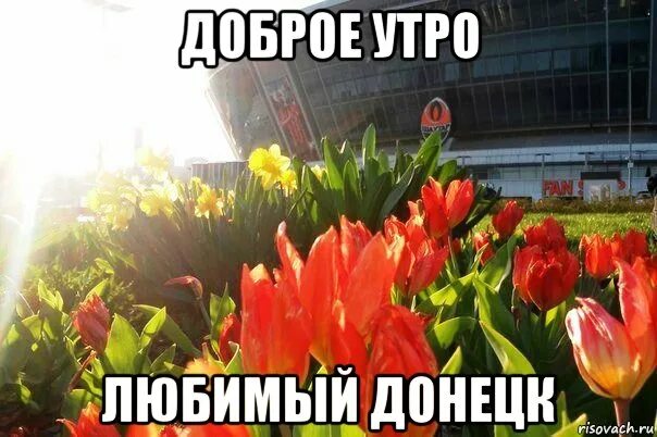 Утро донбасса. Доброе утро донбасс. мемы про донецк. утро на донбассе. доброе утро дончане.