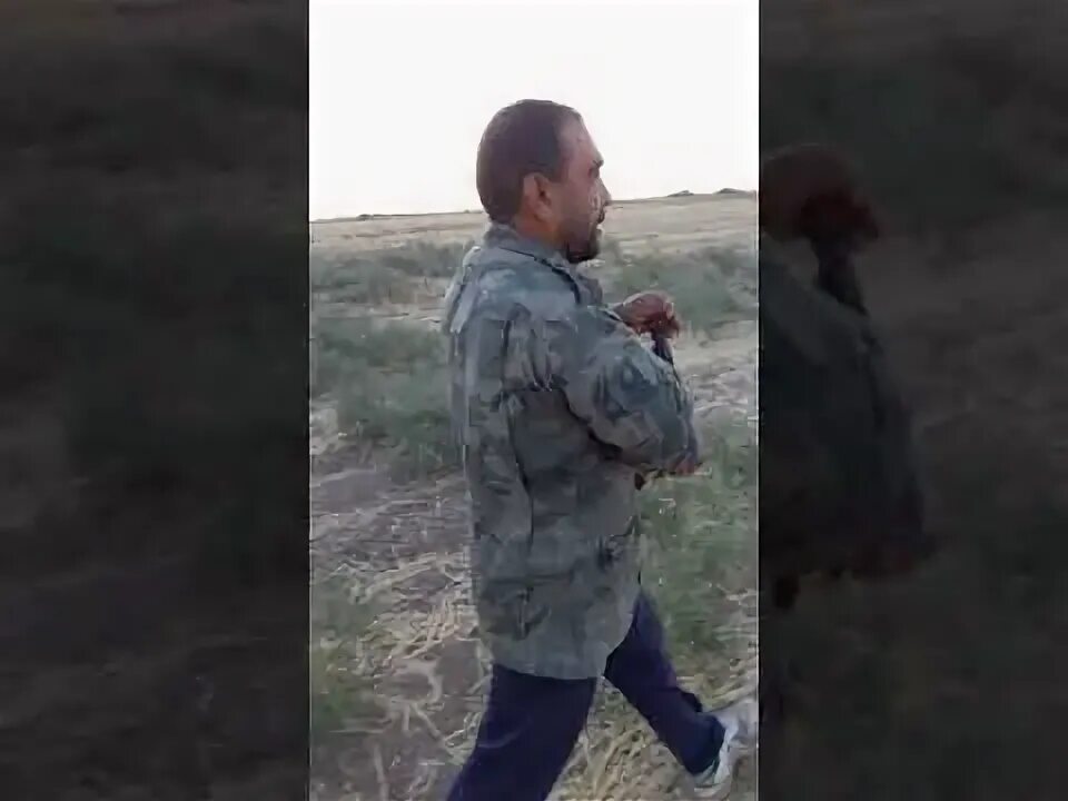 Кашкадарйо гузор. Дехконобод кашкадарё. Кашкадарйо гузор об хаво. Obu havo qashqadaryo dehqonobod. Кашкадарйо гузор.