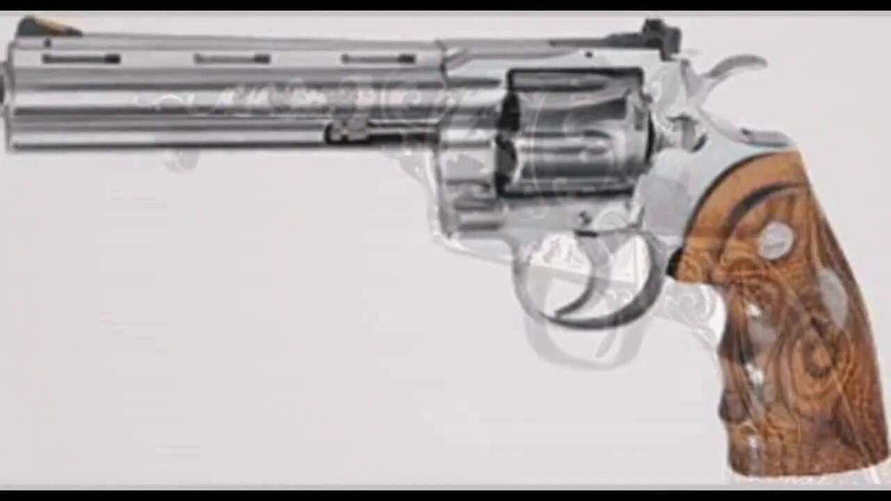 Colt python 6