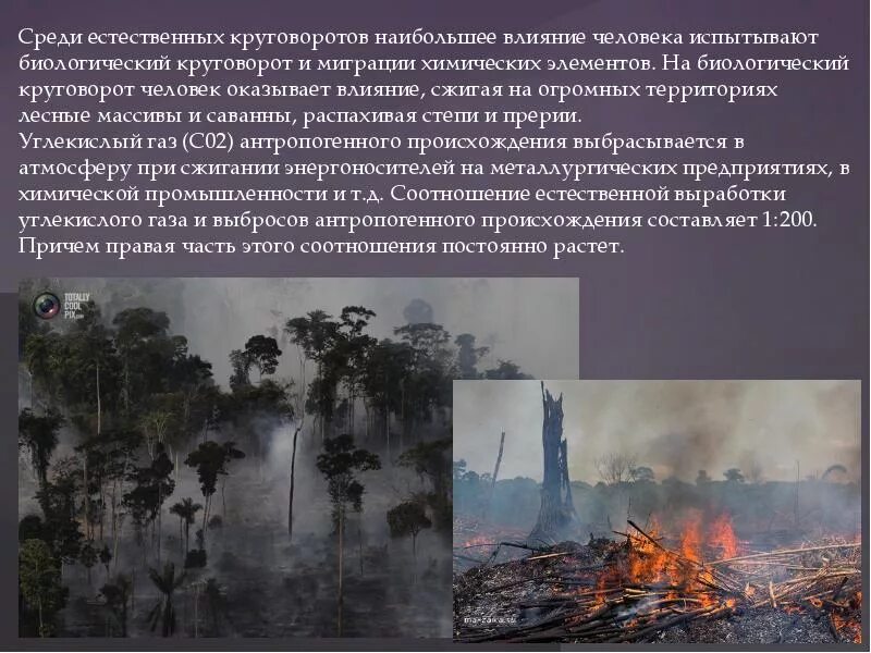 Влияние человека на круговорот веществ. Влияние человека на круговорот веществ в природе. Влияние деятельности человека на круговорот воды. Влияние человека на биоразнообразие. Влияние человека на природу северной америки