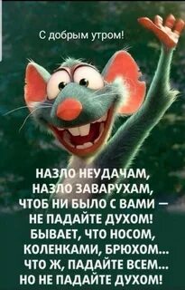 Четверостишья для поднятия настроения