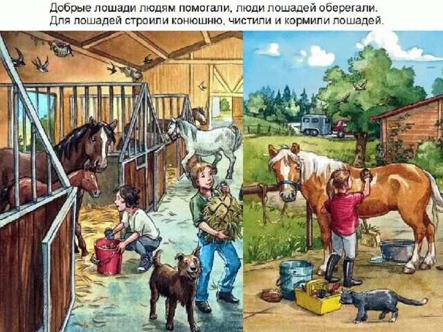 Работа где помогаешь людям. Лошады помогает человеку. Лошадь помогает человеку. Лошадь помощник человека. Человек на лошади.