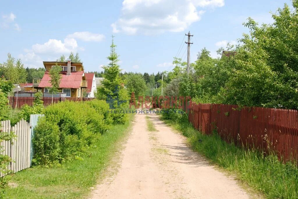 Снт правдист 2. Снт восход солнечногорский район. Подмосковные дачи. Садовый некоммерческий участок. Богородский район снт.