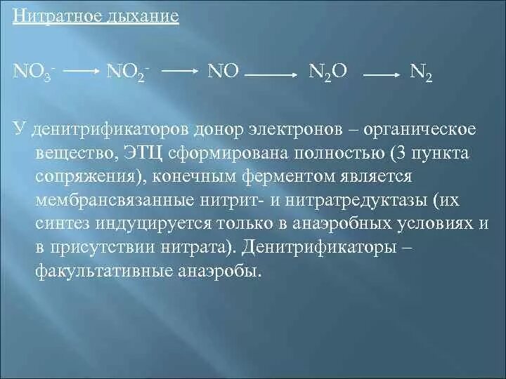 Донором электронов является. Анаэробное нитратное дыхание. Схема нитратного дыхания. Нитратное дыхание бактерий. Анаэробное нитратное дыхание исходные вещества.