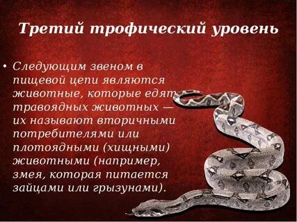 Звеньями являются