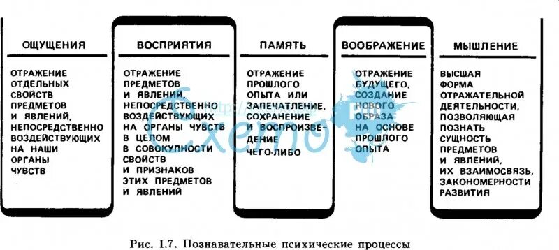 Познавательные психические процессы таблица. Психические процессы таблица. познавательные процессы таблица. психологические познавательные процессы таблица. познавательные процессы в психологии таблица.