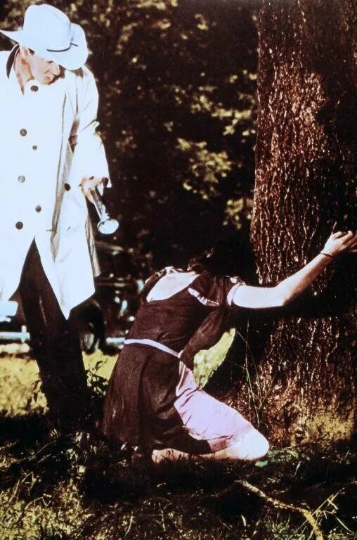 город который боялся заката 1976. город который боялся заката 1976. город, который боялся заката фильм 2014. маньяк город, который боялся заката 2014. город которого нет фильм сша.