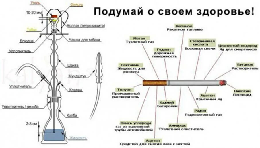 Вреден ли кальян issledovaniya vreda kalyana. Что вреднее сигареты или кальян для человека. Кальян вредно для здоровья. Вред кальяна. Кальян вредит здоровью.