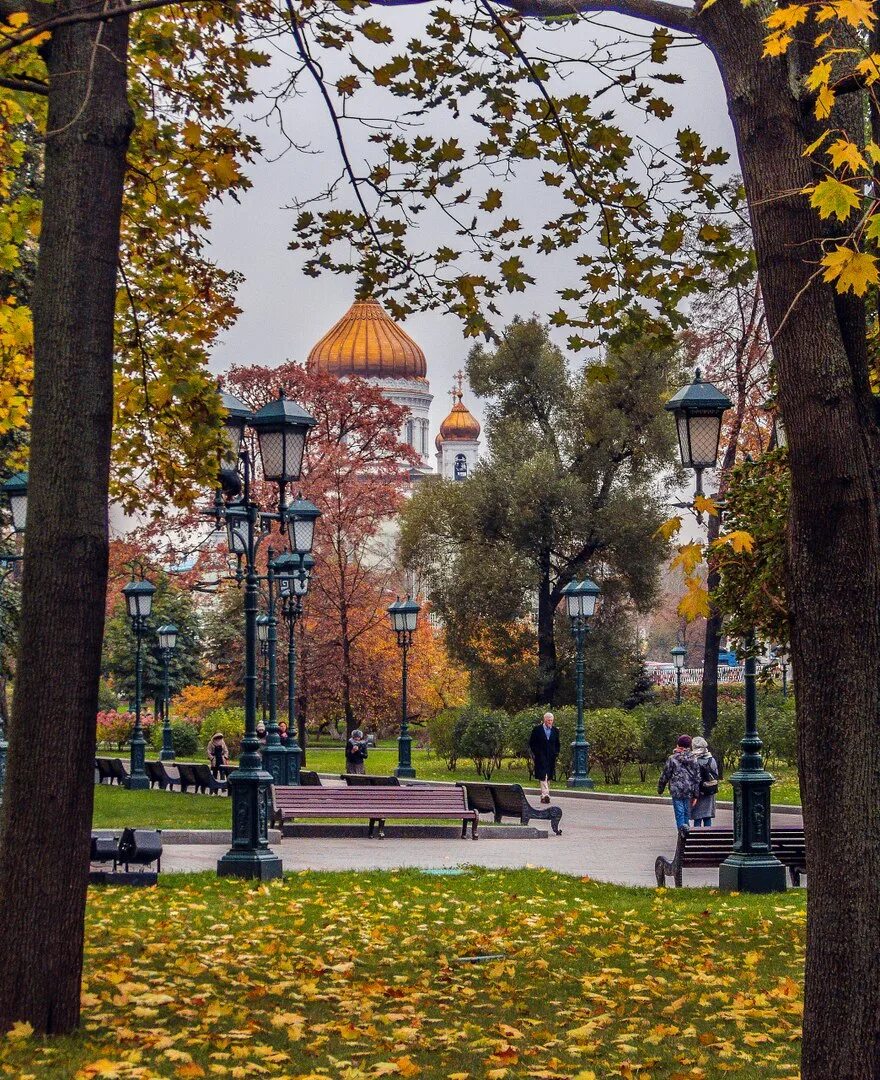 Природа в москве в октябре. Осень октябрь москва. Бабье лето в москве. Сад эрмитаж в москве осенью. Новодевичий монастырь -золотая осен.