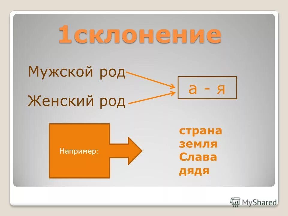 Шампунь род мужской. Директор мужской род. Руководитель мужской или женский род. Директор мужской род. Сущ мужского рода.
