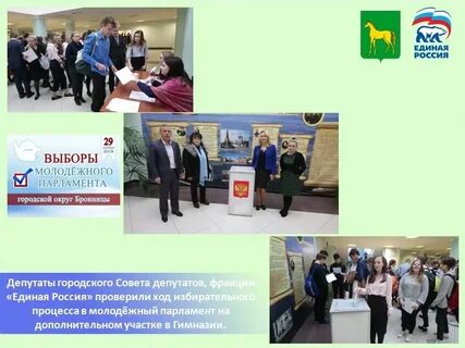 Выборы в коле