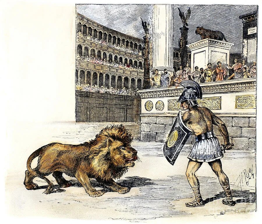 Бои гладиаторов в древнем Риме с животными. Гладиаторские бои в древнем Риме. Гладиаторы в древнем Риме с животными. Гладиаторы в древнем Риме.