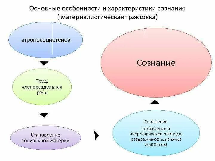 Признаки сознания в философии. Особенности сознания. Общая характеристика сознания. Характеристики сознания человека.