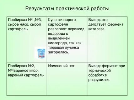 Лабораторная работа 1 действие фермента каталазы