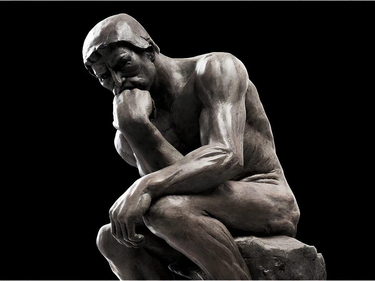 Серый мыслитель. Мыслитель. Роден мыслитель. Читатель мыслитель мечтатель. Серый мыслитель.
