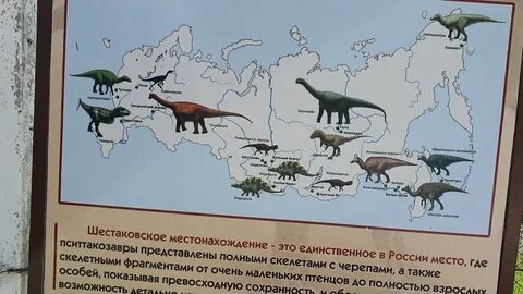 Кемерово шестаково расстояние на машине