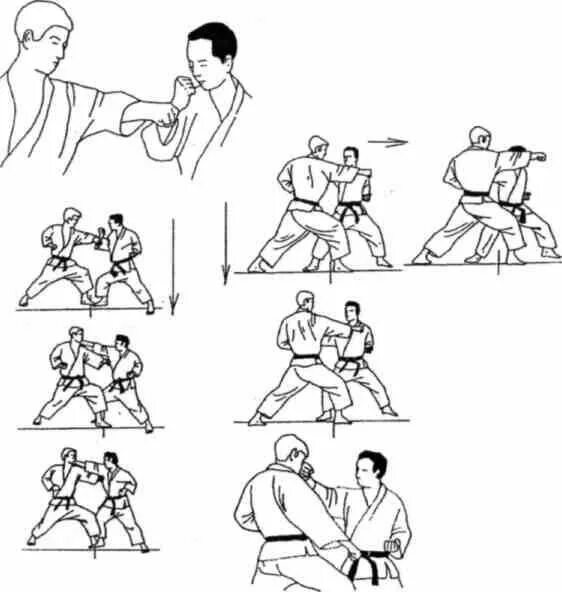 Удар цки в каратэ. Каратэ шотокан удары руками. Техника ударов каратэ киокушинкай. Базовая техника каратэ киокушинкай. Йоко гери удар в каратэ.